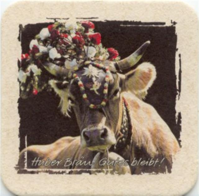 sankt johann t-a huber raute 2b (quad185-geschmckte kuh)